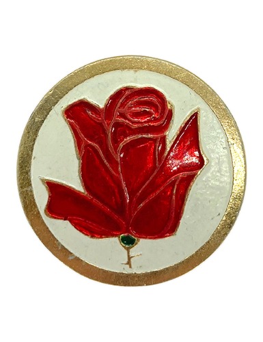 【70’s】 RED ROSE IN GOLD CIRCLE BADGE